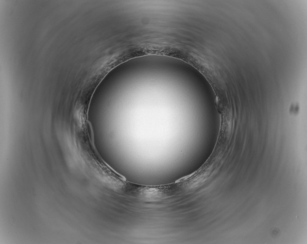 X0000091920287200709121545