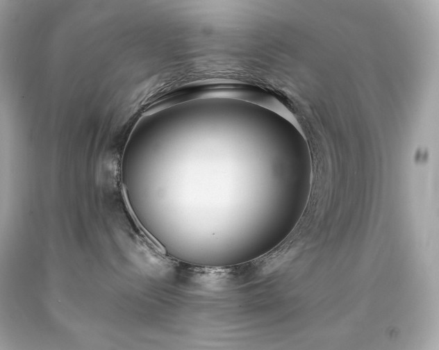X0000091920288200709121545