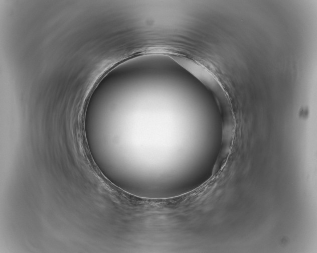 X0000091920289200709121544