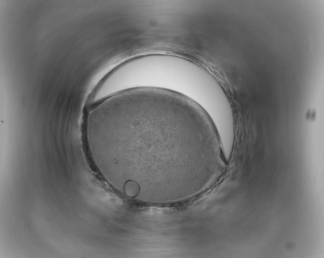 X0000091920292200709121544