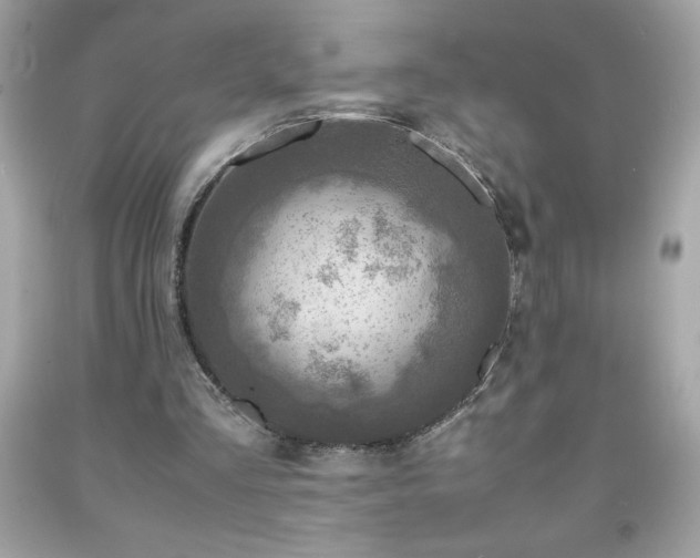 X0000091920293200709121544