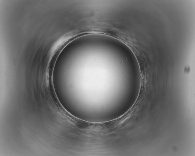 X0000091920294200709121544