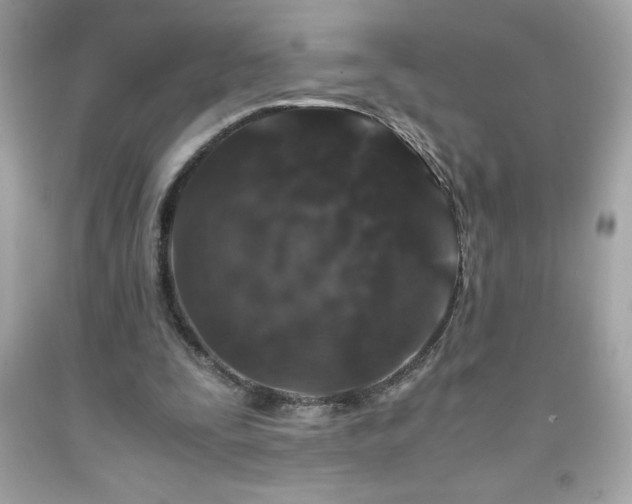 X0000091920295200709121544