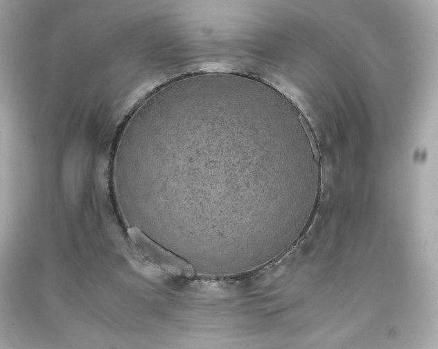 X0000091920297200709121544