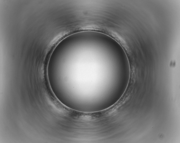 X0000091920298200709121544