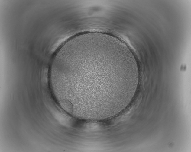 X0000091920299200709121544