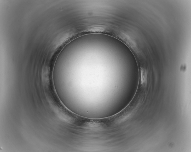X0000091920300200709121544