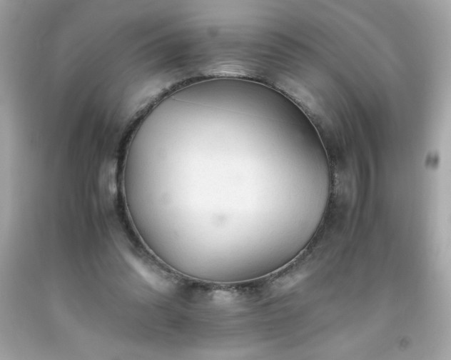 X0000091920302200709121544