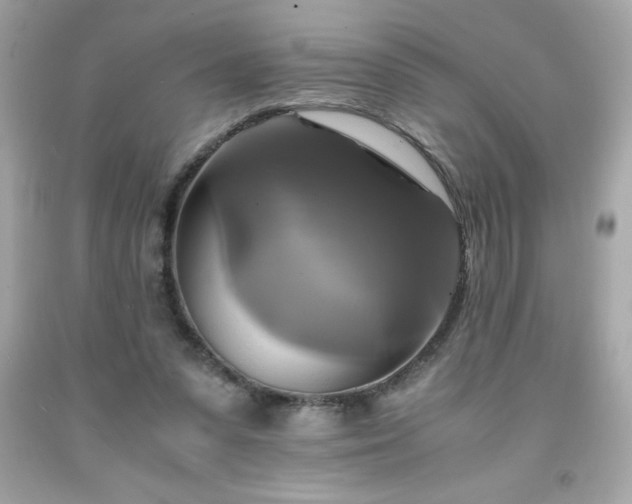 X0000091920303200709121544