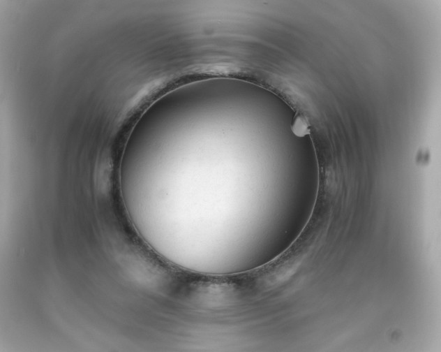 X0000091920304200709121544