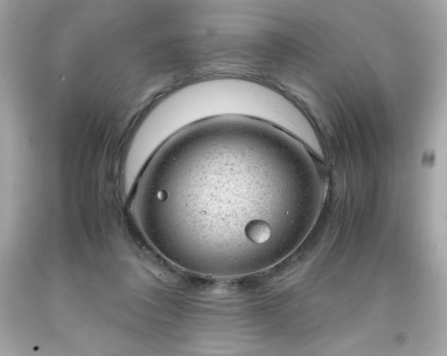 X0000091920308200709121544