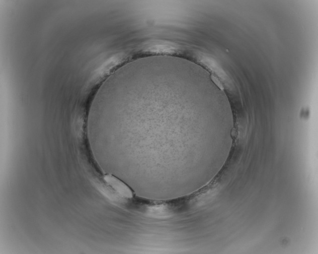 X0000091920309200709121544