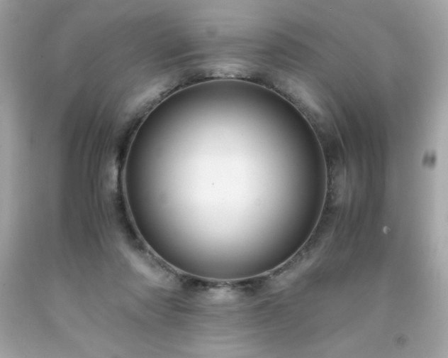X0000091920310200709121544