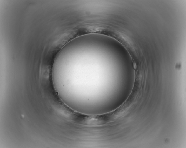 X0000091920315200709121544