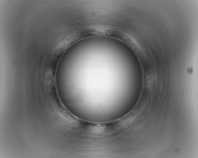 X0000091920318200709121544