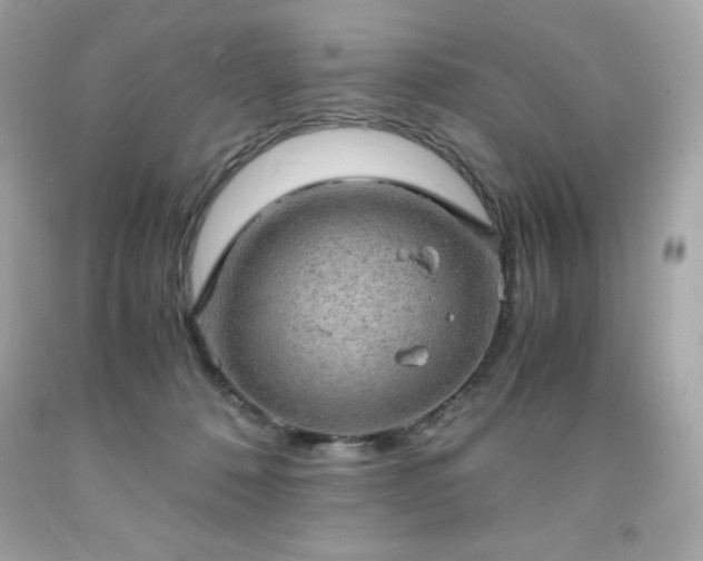 X0000091920320200709121543