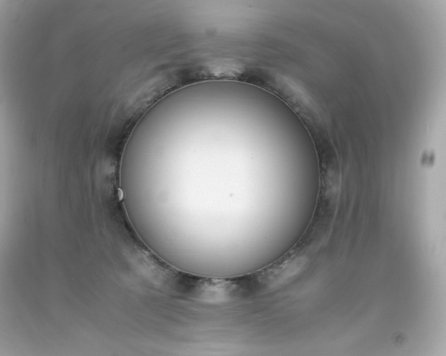 X0000091920321200709121543
