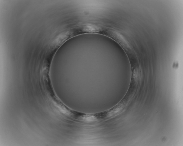 X0000091920322200709121543