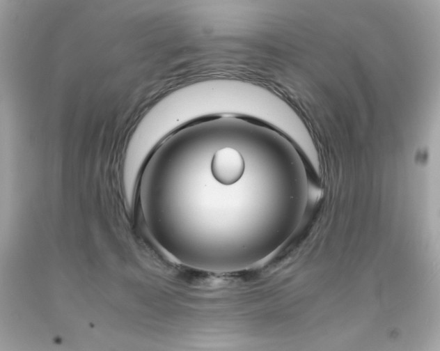 X0000091920323200709121543