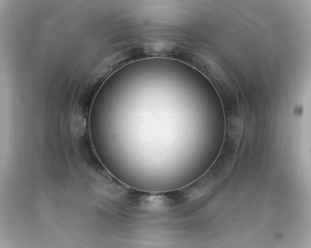 X0000091920324200709121543