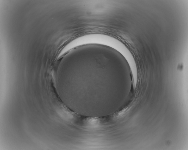 X0000091920325200709121543