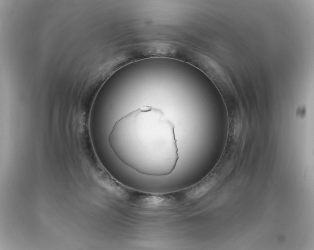 X0000091920326200709121543