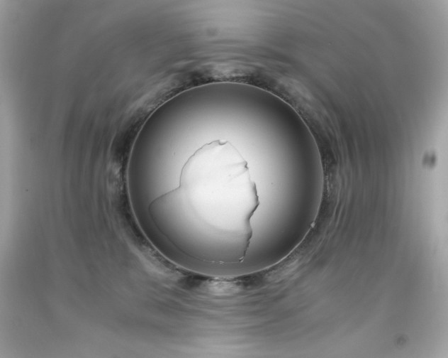 X0000091920327200709121543