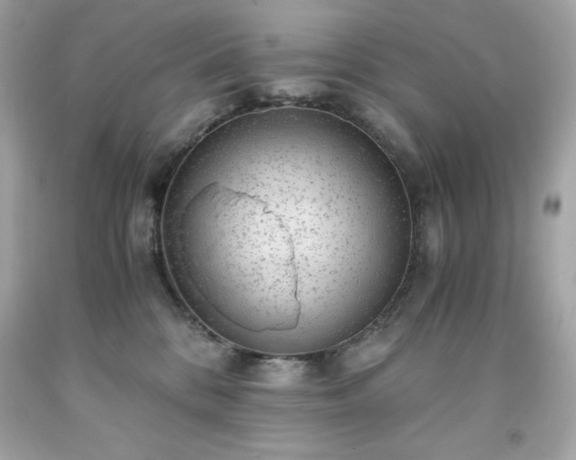 X0000091920328200709121543
