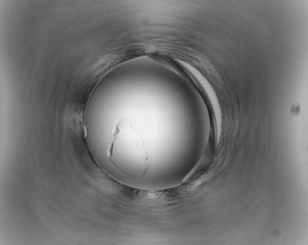 X0000091920329200709121543