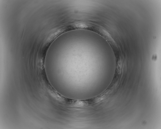 X0000091920330200709121543