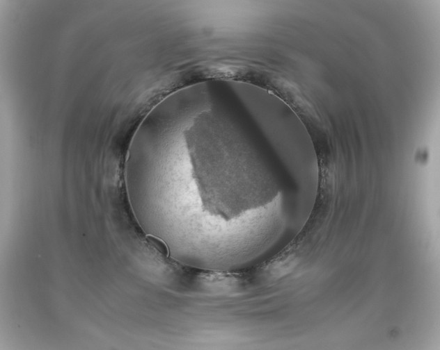 X0000091920331200709121543