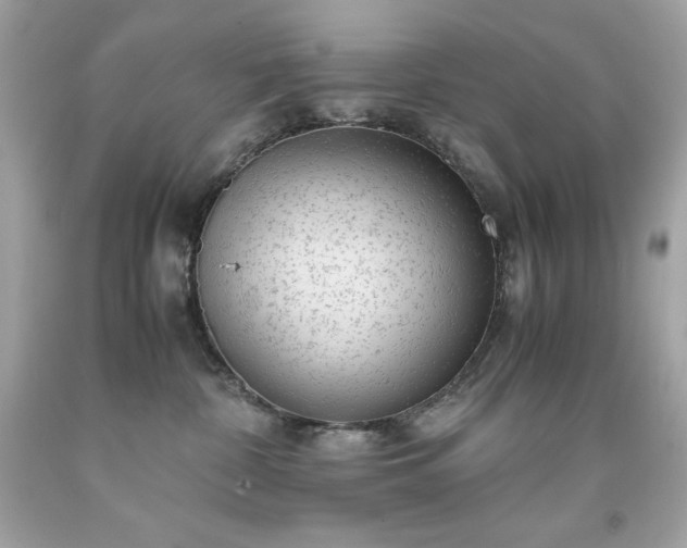X0000091920332200709121543