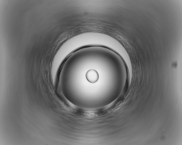 X0000091920333200709121543