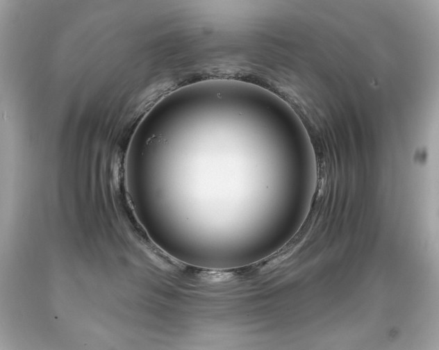 X0000091920334200709121543
