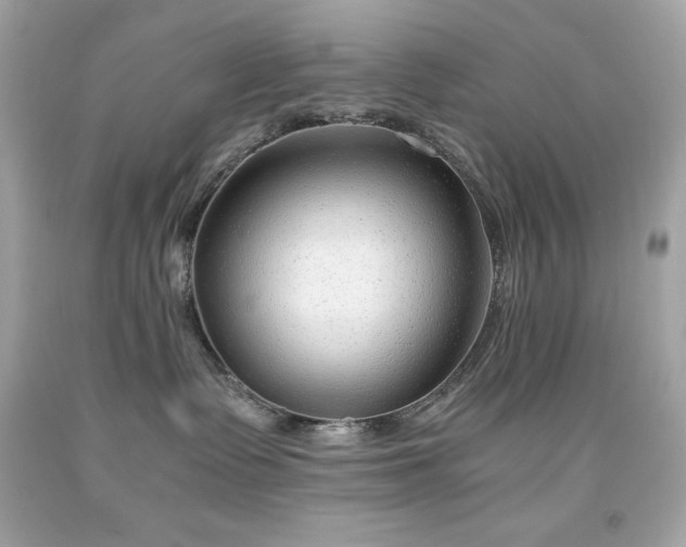 X0000091920335200709121543