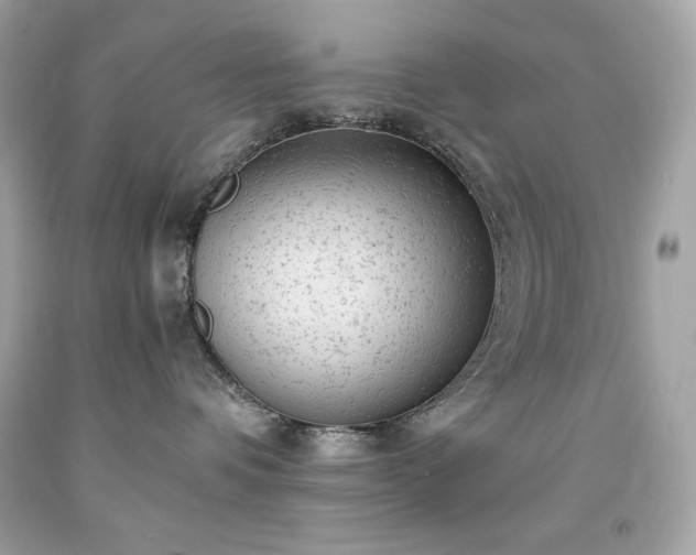 X0000091920336200709121543