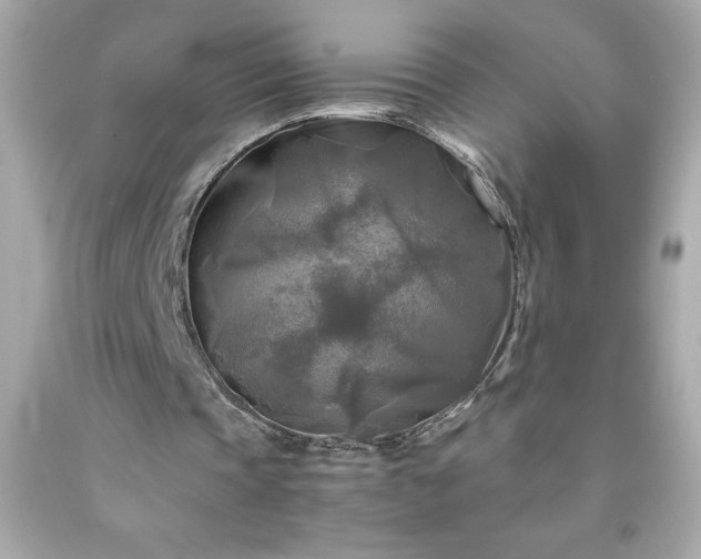 X0000091920337200709121543