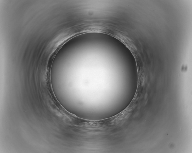 X0000091920338200709121543