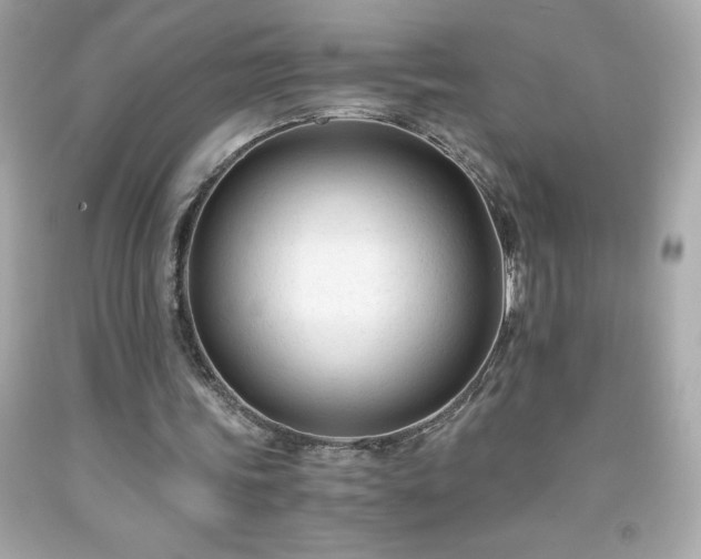 X0000091920339200709121543