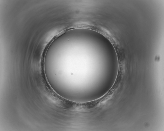 X0000091920340200709121543