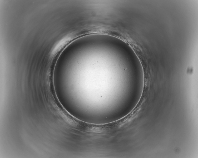 X0000091920341200709121543