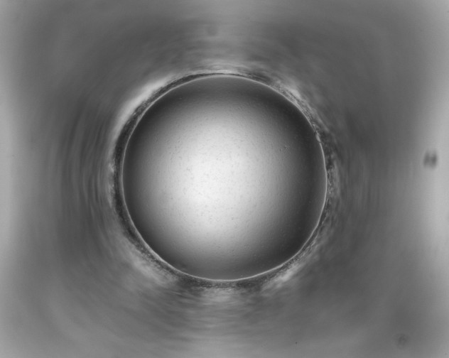 X0000091920342200709121543