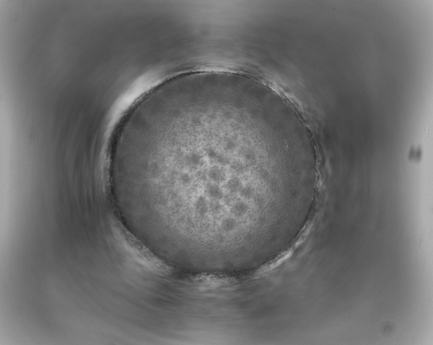 X0000091920343200709121543