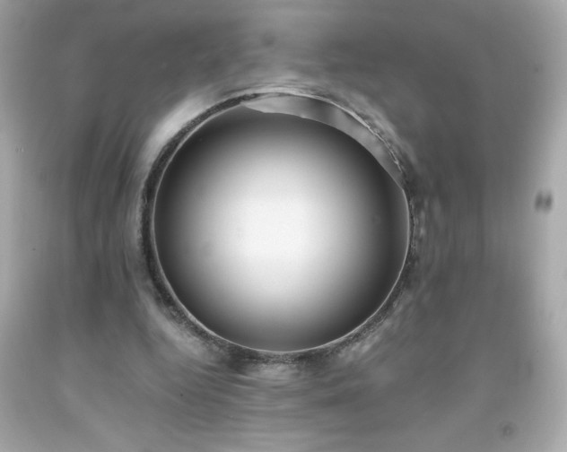 X0000091920344200709121543