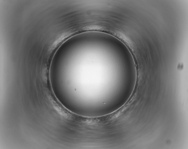 X0000091920345200709121543