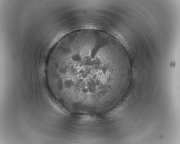 X0000091920347200709121543