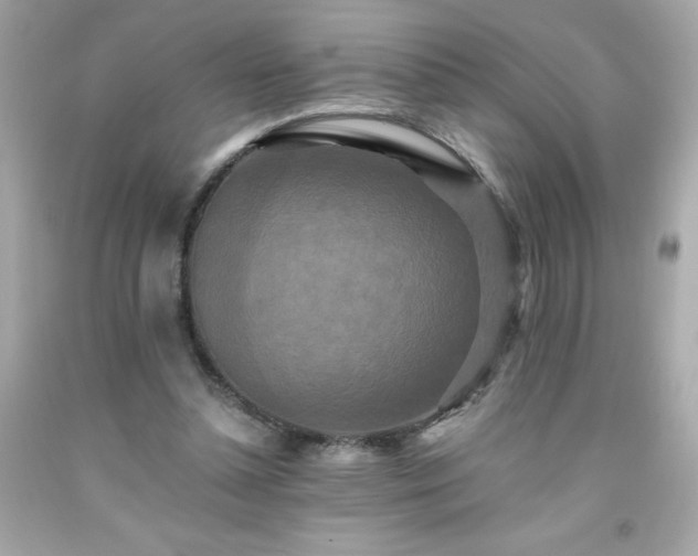 X0000091920348200709121543