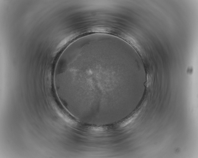 X0000091920349200709121543