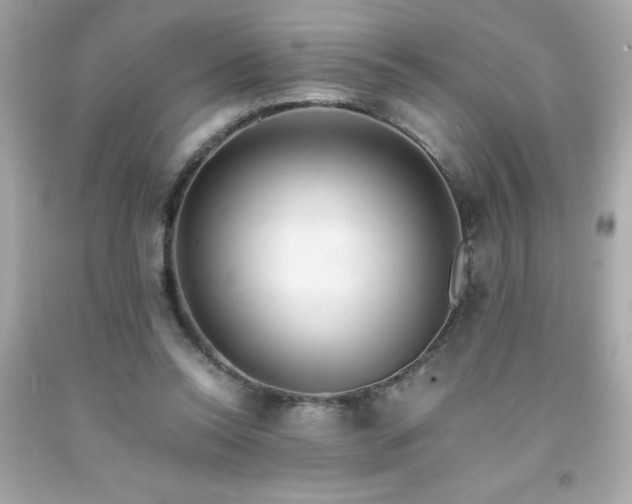 X0000091920350200709121543