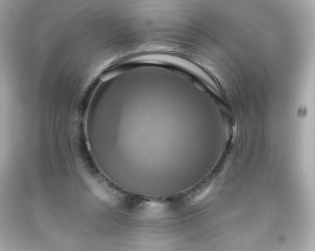 X0000091920352200709121543